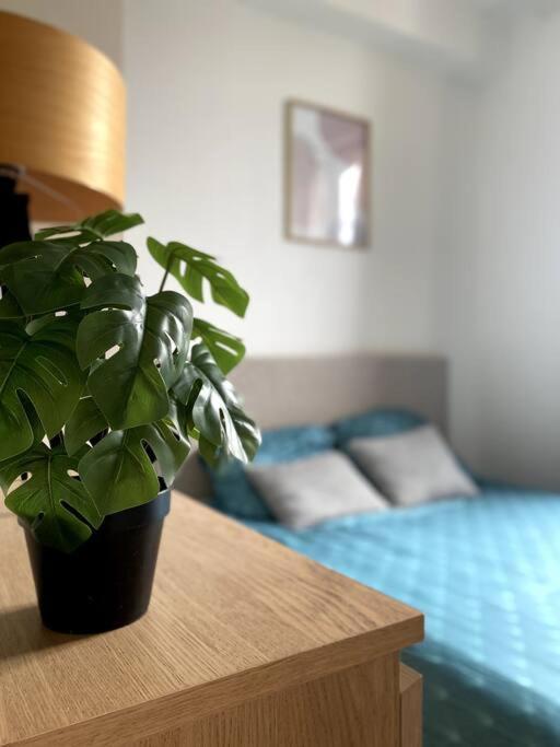 Appartement 2 Pieces A Quelques Minutes De Paris Le Pré-Saint-Gervais Kültér fotó